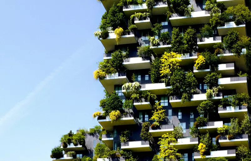 Blick auf ein Wohnhaus, dessen Balkone mit Pflanzen begrünt sind