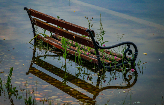 Eine Bank im Wasser auf einem überfluteten Weg. Blumen wachsen um sie herum.