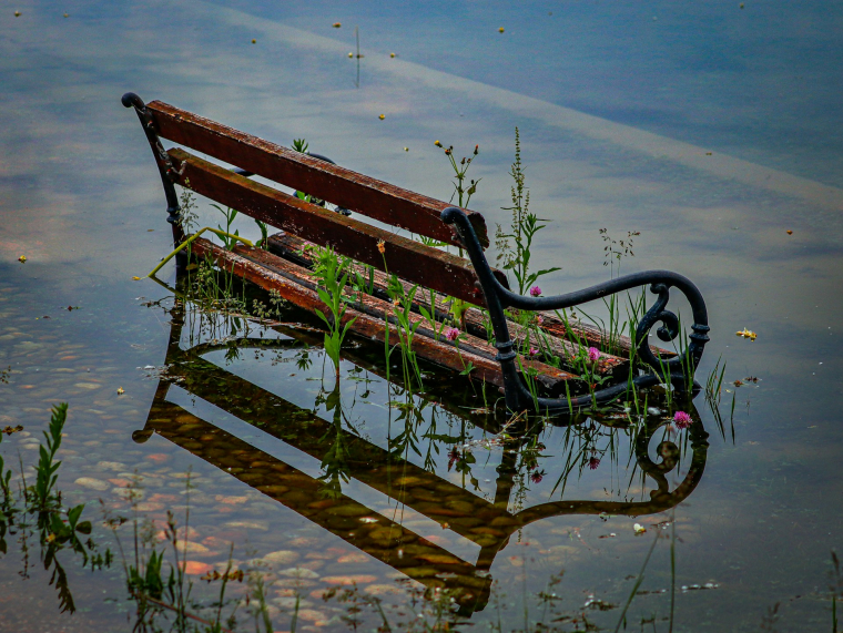 Eine Bank im Wasser auf einem überfluteten Weg. Blumen wachsen um sie herum.