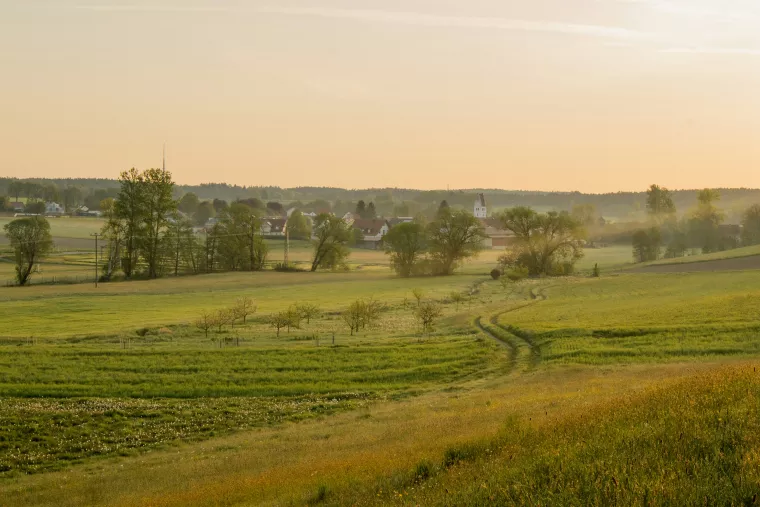 Feld und Wiesen. Am Horizont ein Dorf mit Kirche.