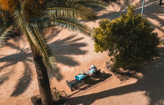 Zwei Personen sitzen an einem Sommertag auf einer Metallbank unter Palmen Zwei Personen sitzen an einem Sommertag auf einer Metallbank unter Palmen