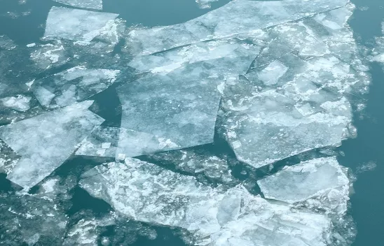 Foto aneinander gelegter Gürtel deren Schnallen nach unten zeigen; die Gürtel haben verschiedene Farben.